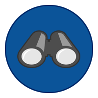 Vision
