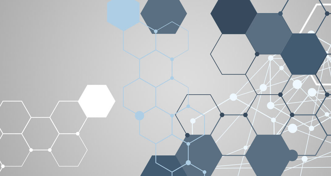 banner06r