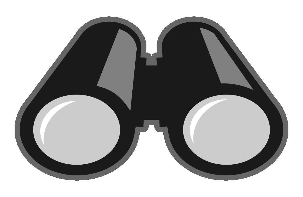 Q2020-binoculars-vision